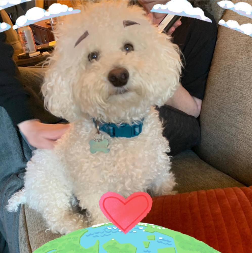 Meet your Posher, Kris